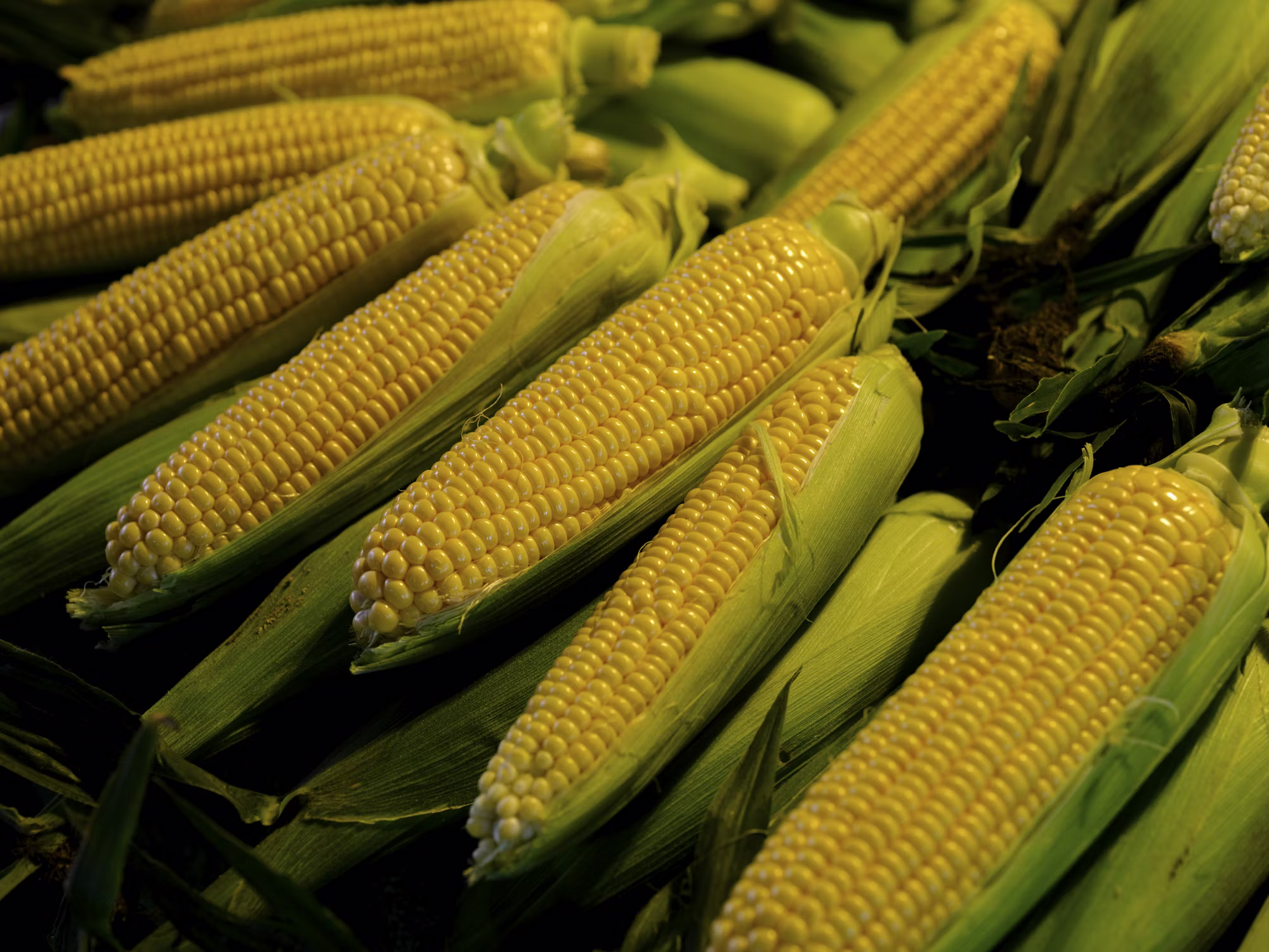 Exploring Superfoods: Nutritional Powerhouses for a Healthier Life